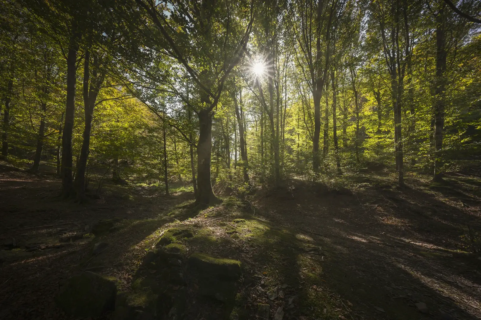 Camping Il Sergente — photo 2